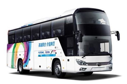 嘉善至平頂山長途汽車客運(yùn)指南與票務(wù)代理服務(wù)詳解